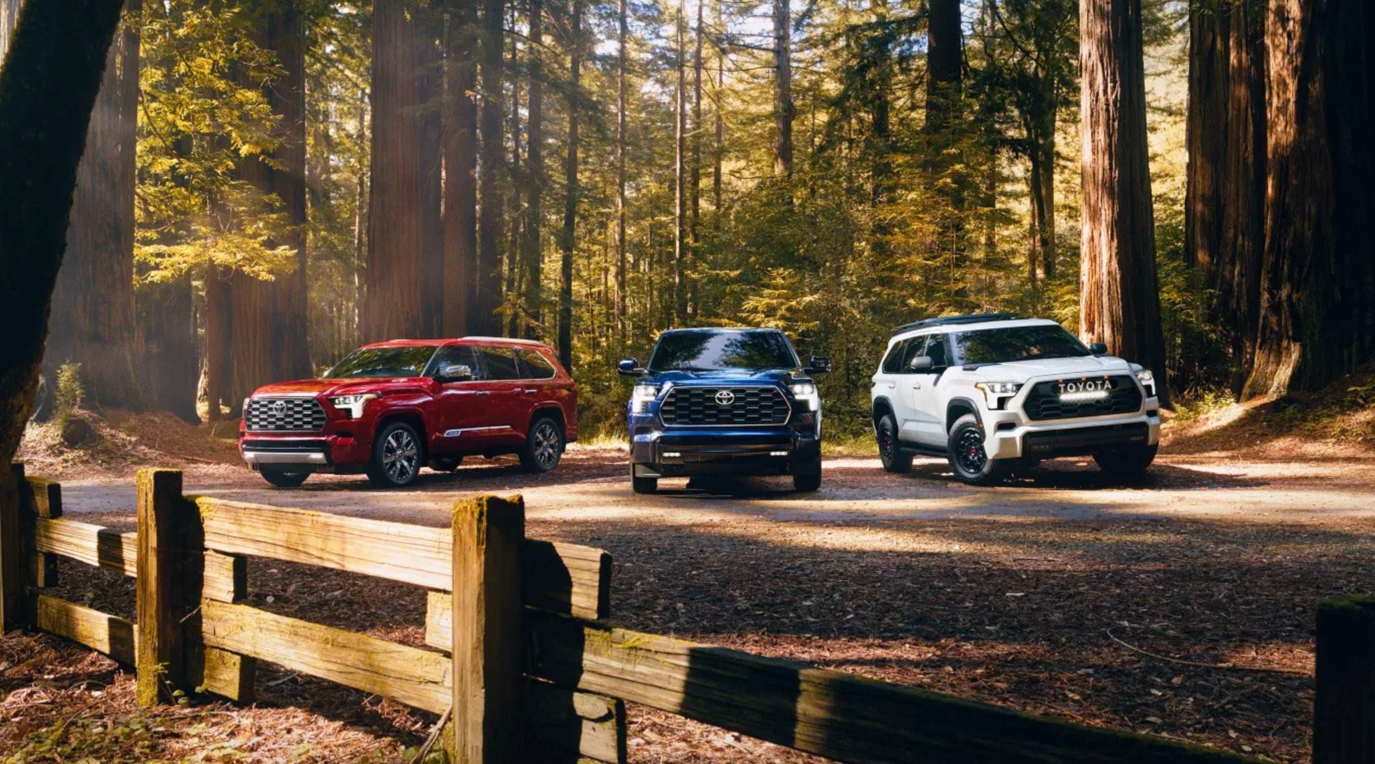 New 2026 Toyota Sequoia for sale near Athens, OH